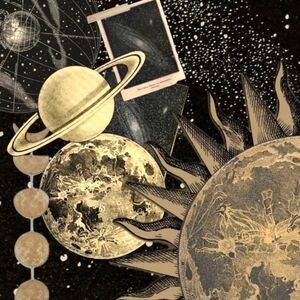 Meet your Posher, Quinn